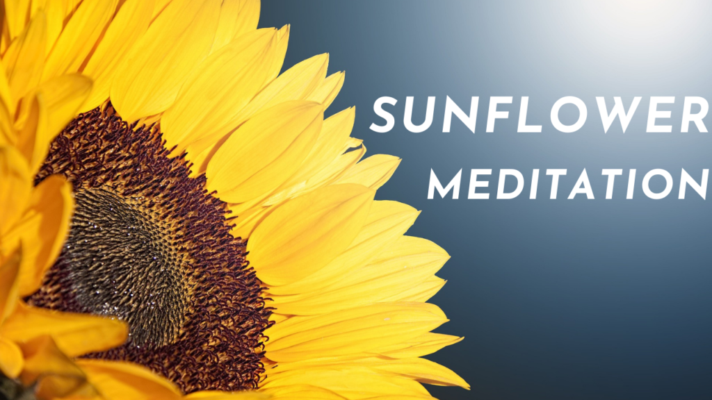 Guided Meditation: The Sunflower Meditation